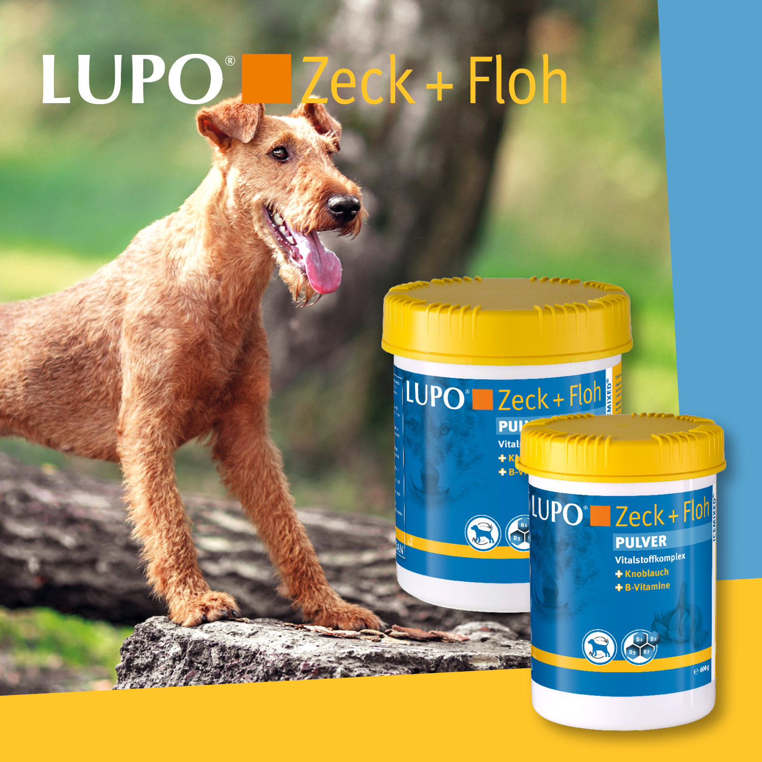 LUPO Zeck + Floh 600 g